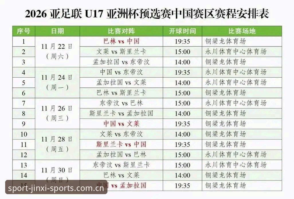 资深体育迷分享U17世界杯深度分析：中青队分组策略与2026金喜操作流畅体验